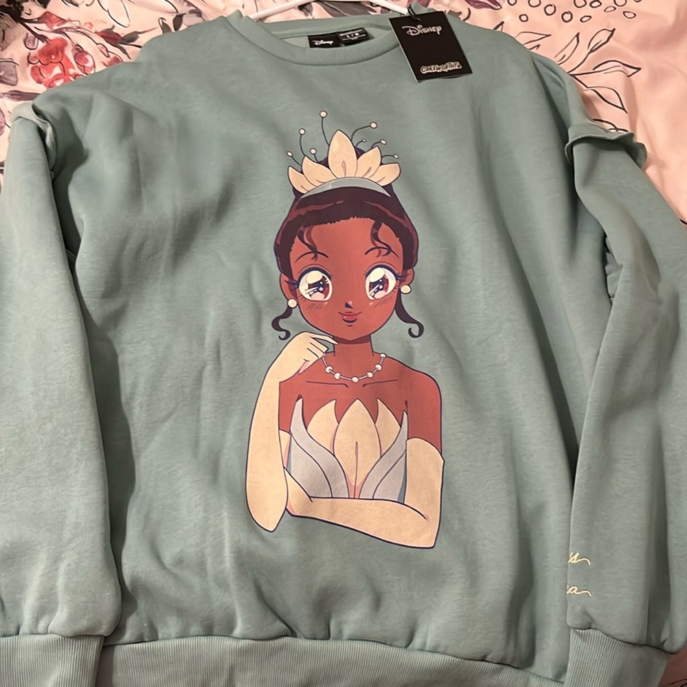 Cakeworthy Princess Tiana Disney pull over sweater size large NWT